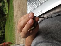 IMG_0633.jpg