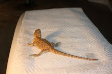 IMG_2343.jpg