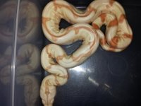 20120729_212813.jpg