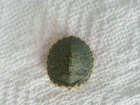 20120909_173254.jpg
