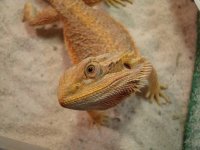 DSC00364.jpg
