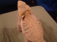 DSC00881.jpg