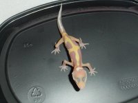 DSCF4149.jpg