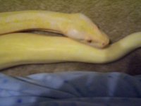 cuddles3.jpg