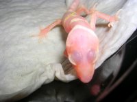 DSCN4909.JPG