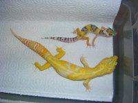 DSCN4913.JPG
