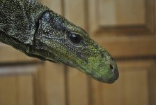 DSC_0793.jpg