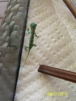 100_3464.jpg