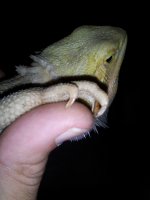 IMG_2558.jpg