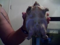 Snapshot_20121002.JPG