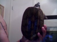 Snapshot_20121002_2.JPG