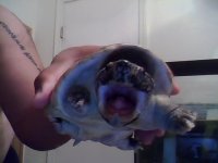 Snapshot_20121002_3.JPG