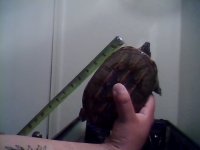 Snapshot_20121002_5.JPG
