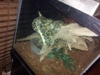 20120626_220940.jpg
