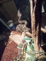20120626_220807.jpg