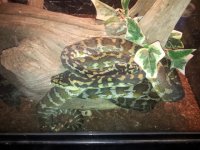 20120725_090329.jpg