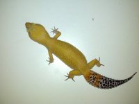 2011-09-21_15-55-38_925.jpg