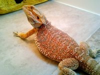 2012-07-15 19.58.21.jpg