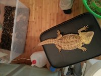 20121016_210152.jpg