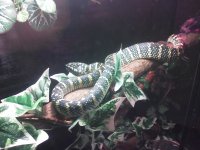 IMG_20111209_181531.jpg