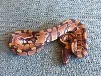 20120920_163548.jpg