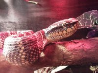 IMG_20111217_165238.jpg