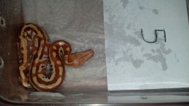 2012-08-19_14-43-28_725.jpg
