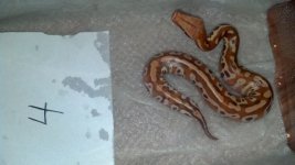 2012-08-19_14-51-35_671.jpg