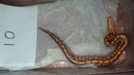 2012-08-19_14-41-01_200.jpg