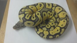 2012-06-04_20-07-49_465.jpg