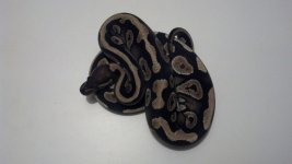 2012-08-19_20-15-53_617.jpg