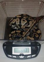 2012-08-19_20-31-15_945.jpg