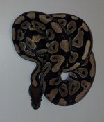 2012-08-19_20-32-06_256.jpg