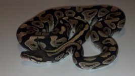 2012-08-19_20-32-49_719.jpg