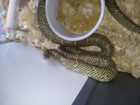 20120917_162522.jpg