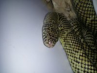 20120917_162538.jpg
