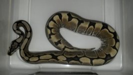 2012-09-06_17-46-10_606.jpg