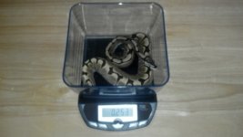 2012-09-06_17-44-57_887.jpg