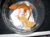 IMG_3377.jpg