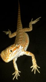 2012-08-05_12-51-35_435.jpg