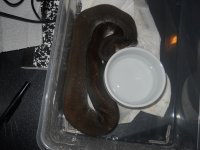 DSCN3026.jpg