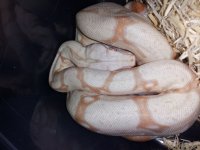 20121002_164120.jpg