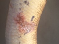 2012-07-31 07.56.12.jpg