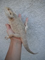 DSCF8659.jpg