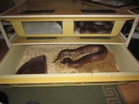 IMG_1351.jpg