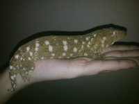 leachie.jpg