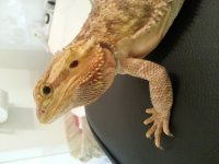 20121016_210135.jpg