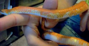 100_7128.JPG