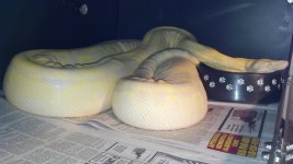2012-08-20_16-22-10_339.jpg
