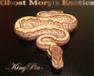 IMG_1523.JPG